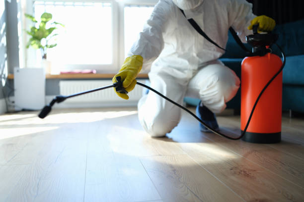 Reliable Odor Removal contractor in Ashland, NH by Trauma Clean Pros